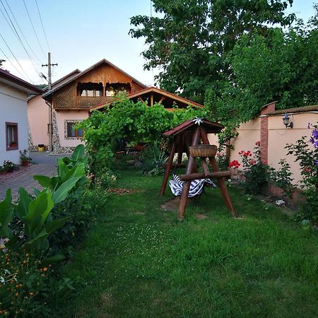 Vila Speranta Pleşcoi Buitenkant foto