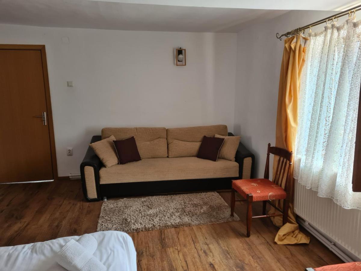 Vila Speranta Pleşcoi Buitenkant foto