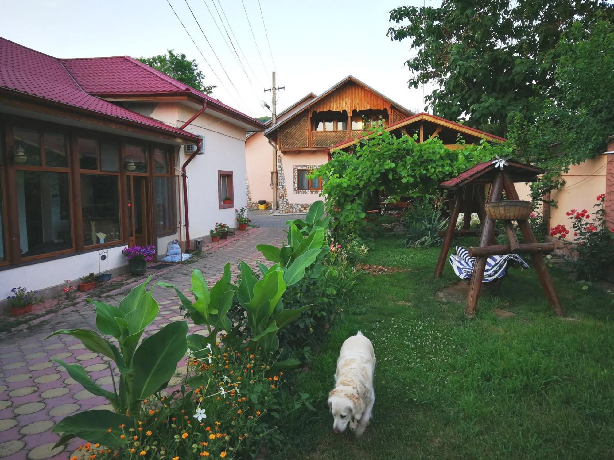 Vila Speranta Pleşcoi Buitenkant foto
