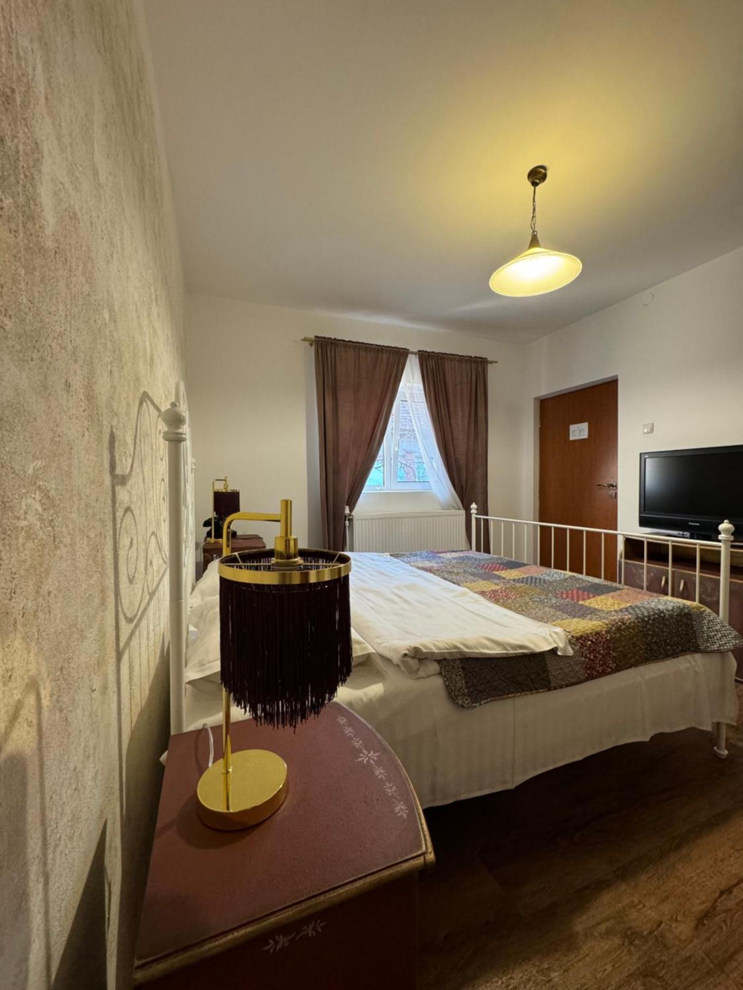 Vila Speranta Pleşcoi Buitenkant foto
