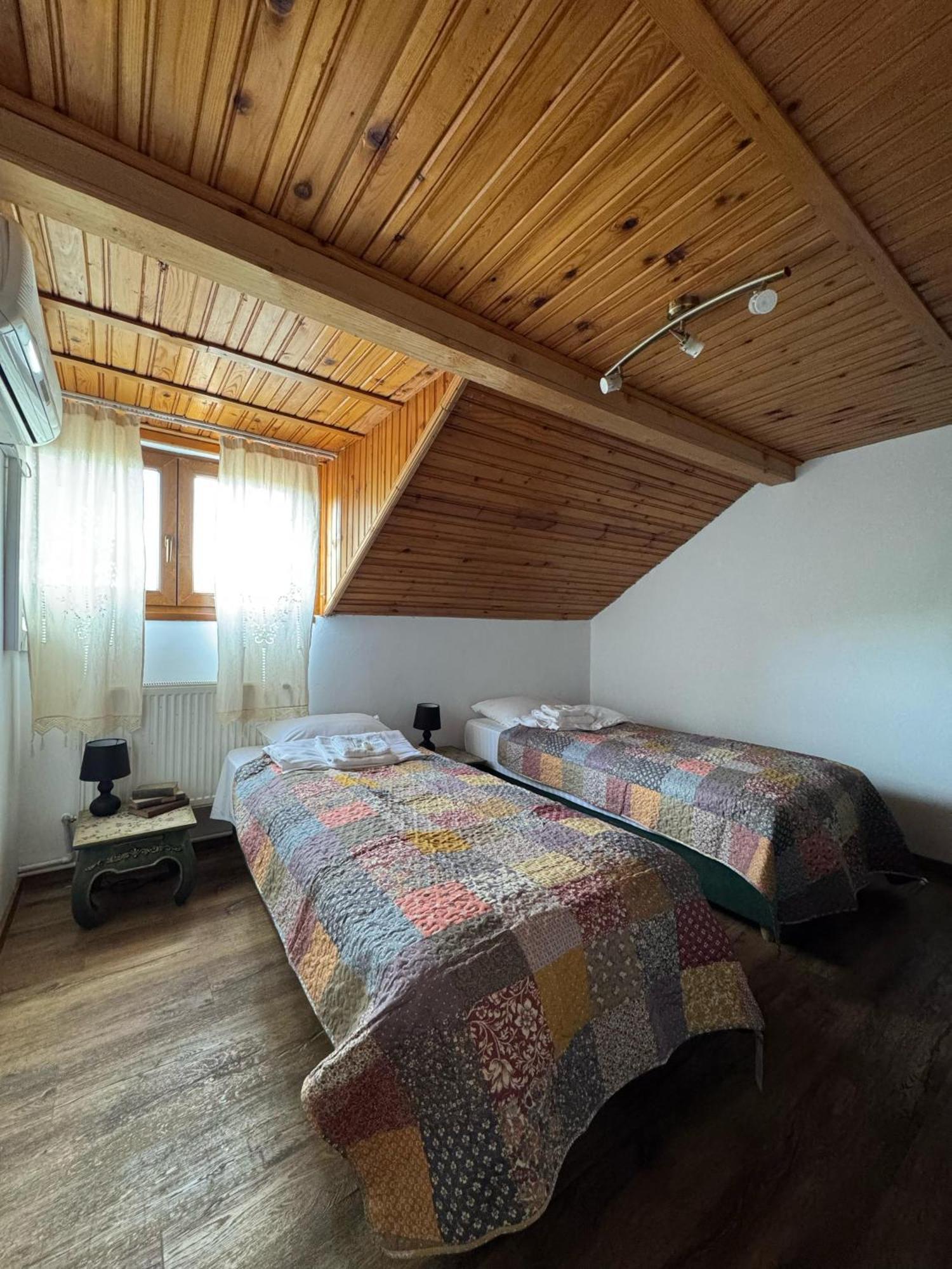 Vila Speranta Pleşcoi Kamer foto