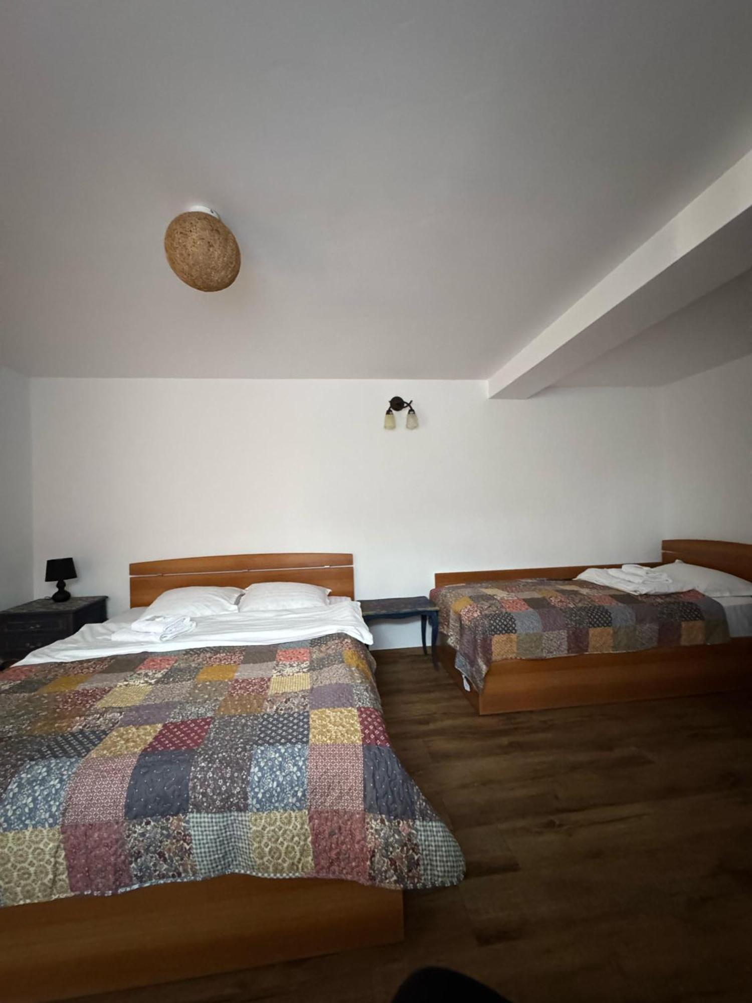 Vila Speranta Pleşcoi Buitenkant foto