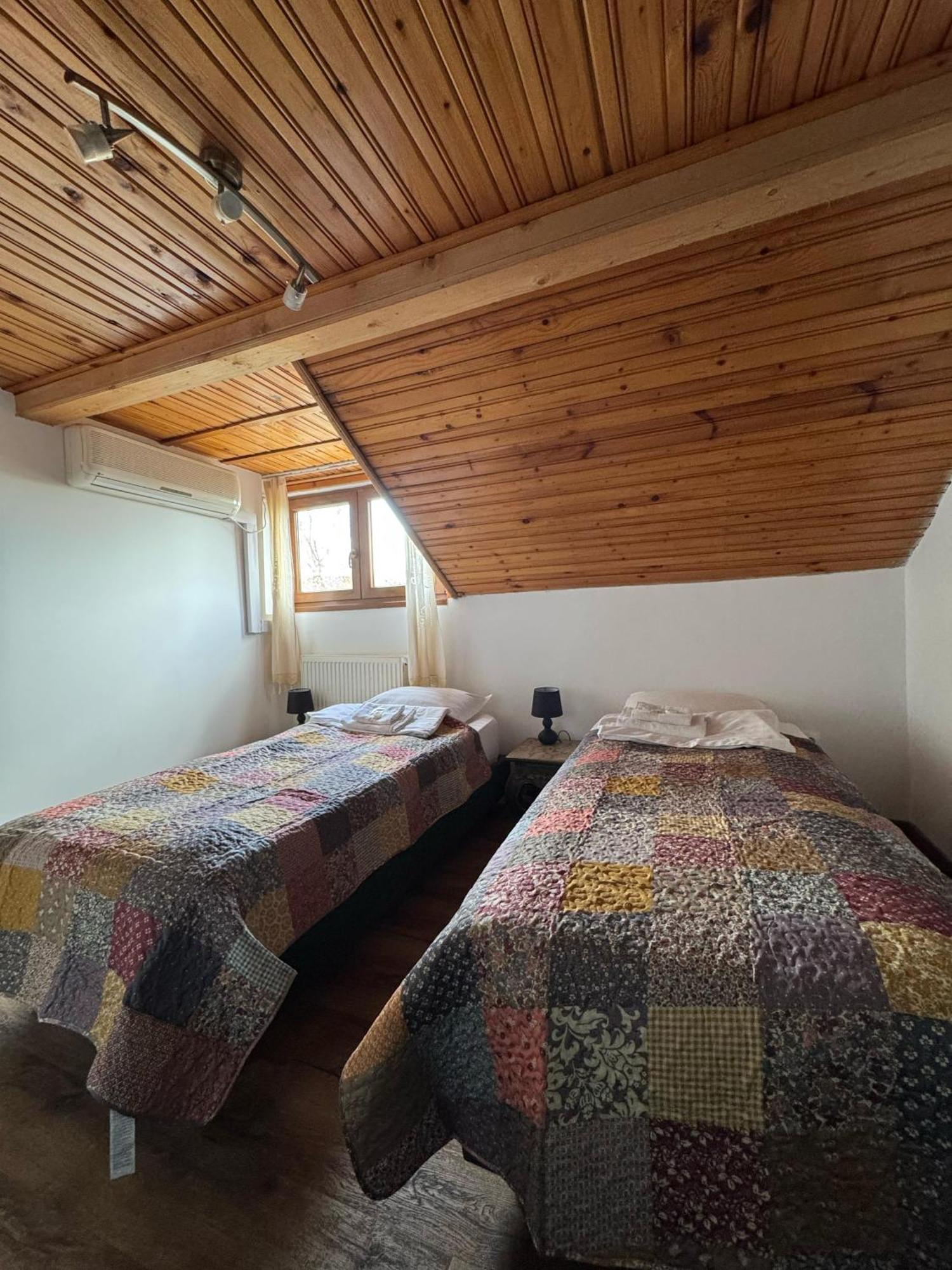 Vila Speranta Pleşcoi Kamer foto