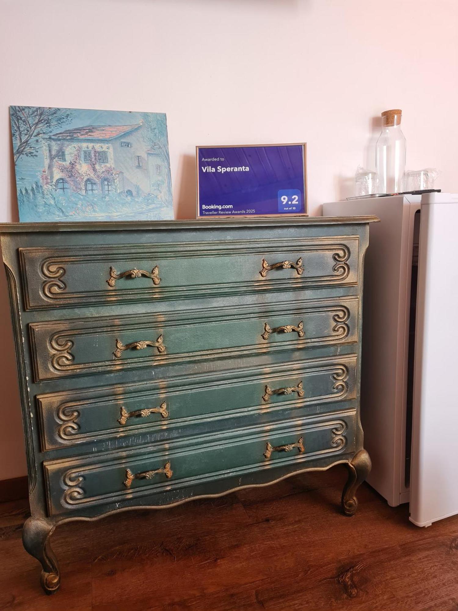 Vila Speranta Pleşcoi Kamer foto