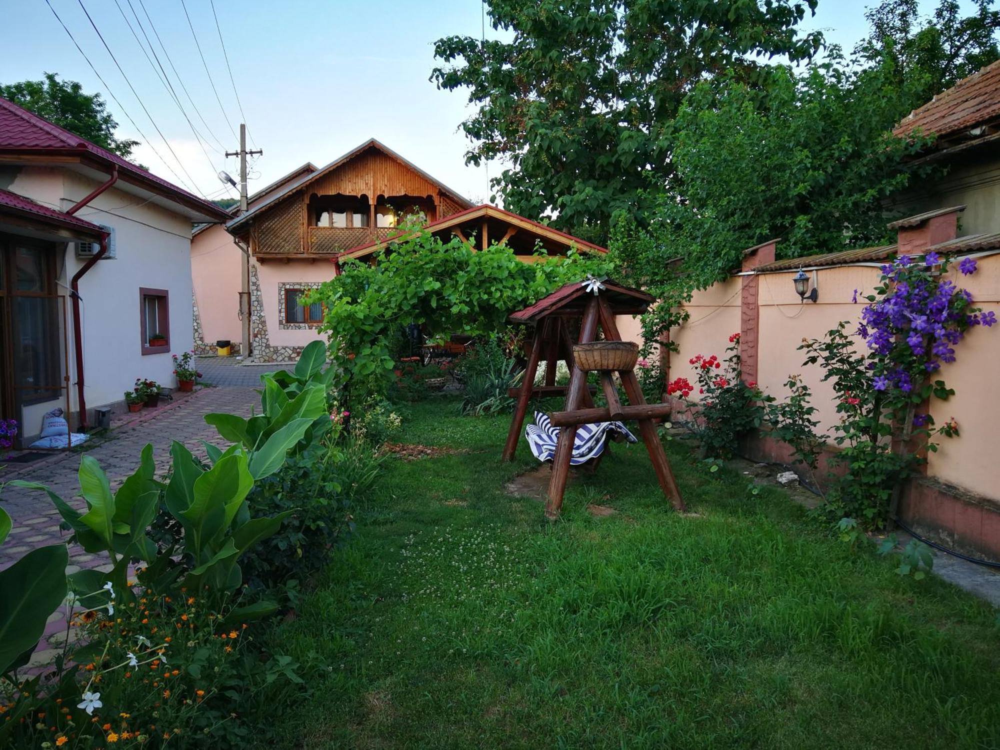 Vila Speranta Pleşcoi Buitenkant foto